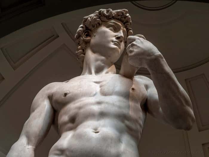 Michelangelo's Statue of David is unveiled