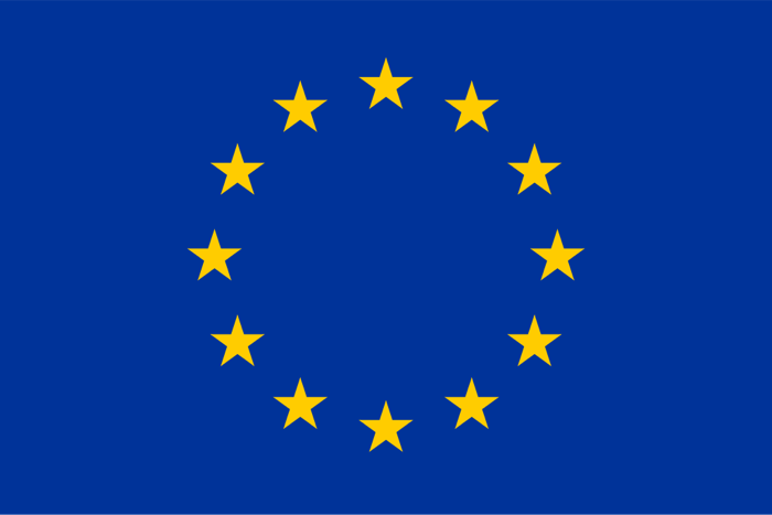 The British Parliament Joined the European Common Market